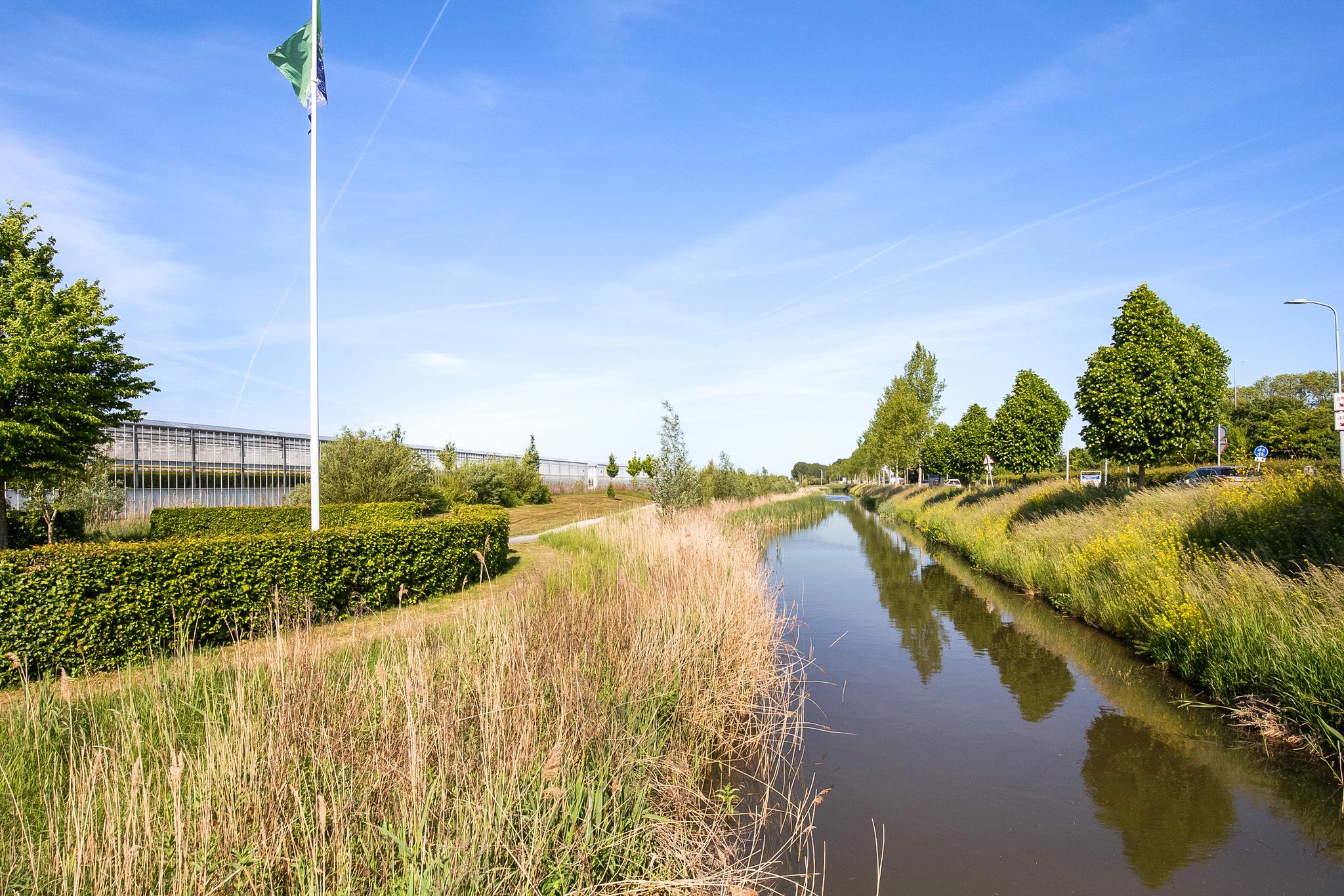 Bennebroekerweg 111 , 1435 CH Rijsenhout 44